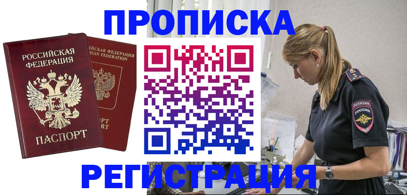 временная регистрация в квартире в Камчатской области